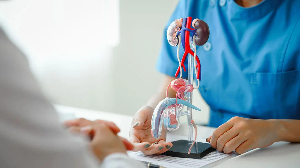 Doctora atendiendo a hombre en la mesa de la consulta del andrólogo recibiendo un diagnóstico